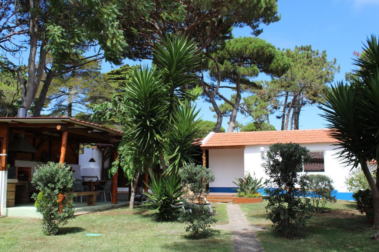 Casinha Do Pinhal Villa โกลาเรส ภายนอก รูปภาพ