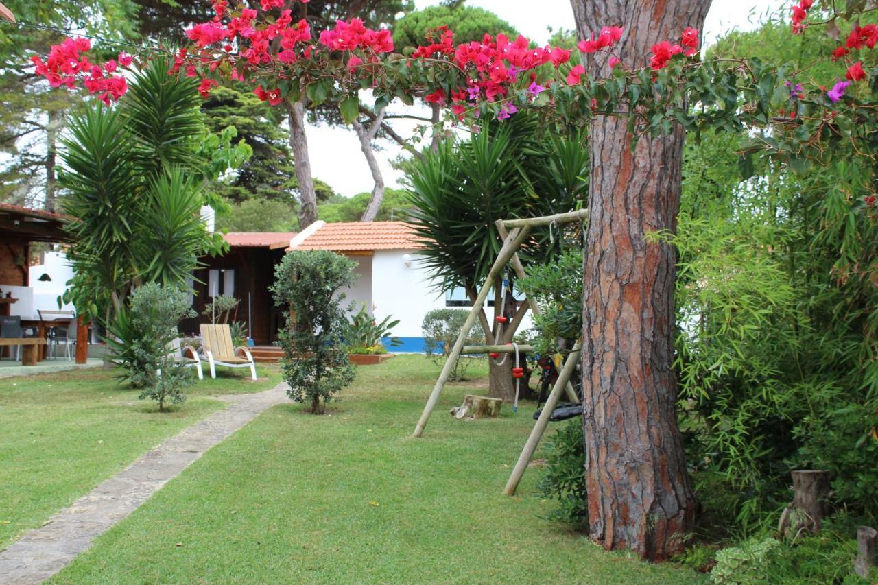 Casinha Do Pinhal Villa โกลาเรส ภายนอก รูปภาพ